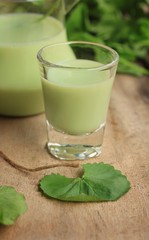 The asiatic with soybean milk