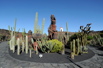 Le jardin de cactus de Guatiza à Lanzarote