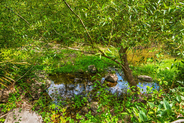 small creek in Sardinia