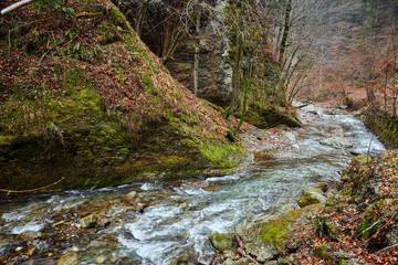 Obraz premium River in the mountains