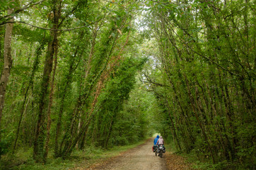 Loire Valley,FRANCE - circa August ,2015 : Bikers with panniers cycling through green forest.