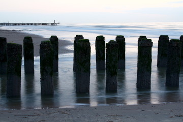 Buhnen an der Nordsee, Niederlande