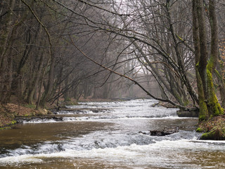 Rzeka Tanew, rezerwat przyrody, progi (szumy)