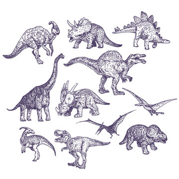Dinosaurs vector drawings set