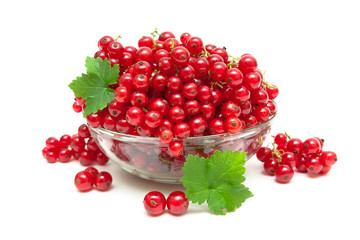 red currants in a glass bowl on a white background