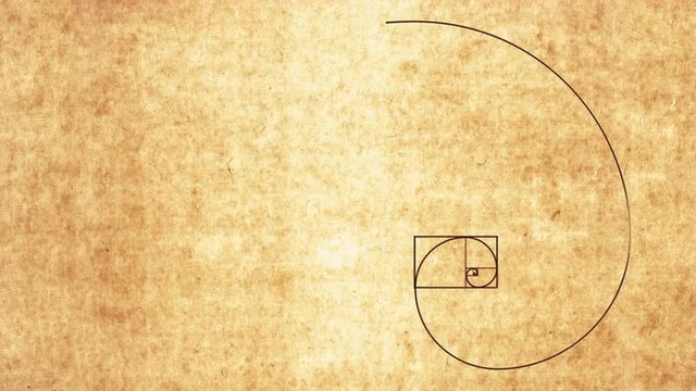 Golden Ratio - Fibonacci Spiral / Proportion of Nature