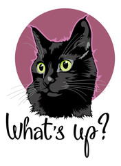 Colorful cat portrait and hand drawn lettering
