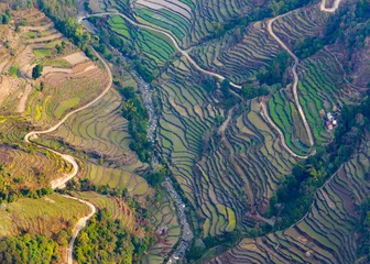 Foto op Canvas Aerial view of paddy fields near Pokhara © Thomas Dutour