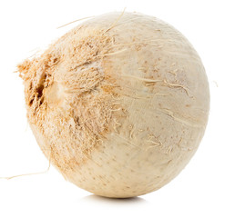 Young sweet coconut close-up isolated on white background.