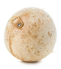 Young sweet coconut close-up isolated on white background.