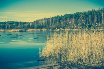 Vintage landscape of lake with reeds.