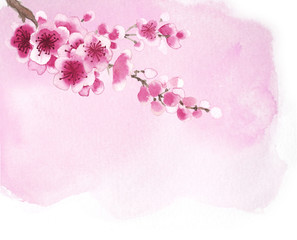 hand-drawn branch of sakura