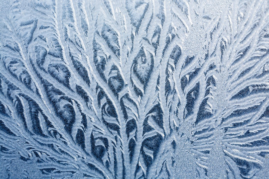 Frosty pattern on the window
