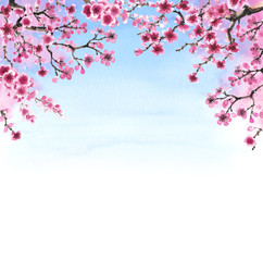 Fototapeta na wymiar hand-drawn branch of sakura
