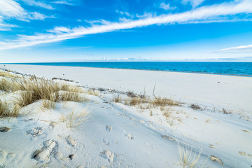 Fototapeta na wymiar Beautiful sea landscape. Sandy beach and sand dune with grass.