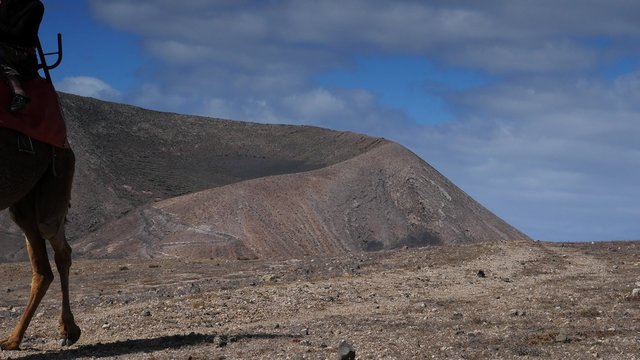 promenade &agrave; chameau dans le d&eacute;sert
