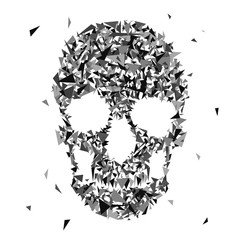 abstract skull with grayscale triangle, vector illustration