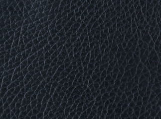 texture, skin black color. manufacture of leather products