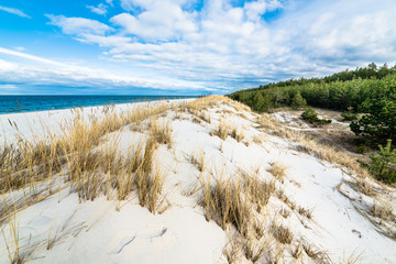Sea landscape with sandy dunes and grass - obrazy, fototapety, plakaty