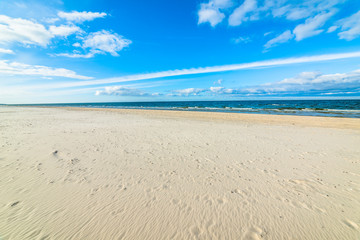 Sandy beach landscape, Leba, Baltic Sea, Poland