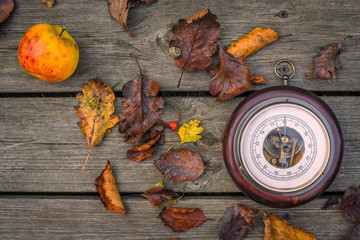 Barometer in the autumn - obrazy, fototapety, plakaty