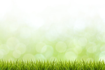 Fototapeta na wymiar Grass and green blurred background