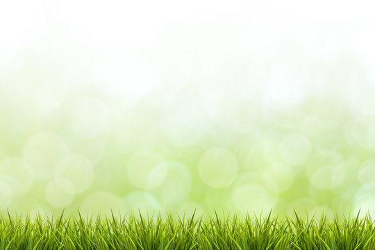 Grass and green blurred background