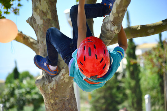 Bopy with red helmet climbing a tree