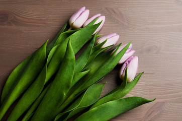 tulipany na tle z desek