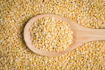 scoop of yellow beans seed on  pile of yellow bean seed.