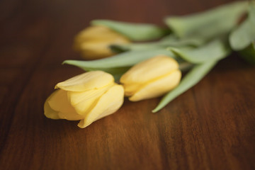 yellow tulips lying on wooden table