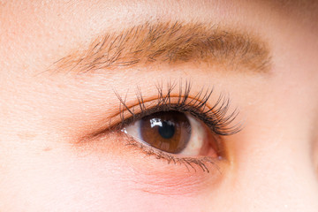Fototapeta premium アジア人女性 片目 つけまつげ Asian woman false eyelashes 