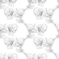 Beautiful monochrome, black and white seamless background with blooming magnolia tree branches © Hulinska Yevheniia