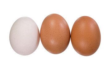 eggs on white background