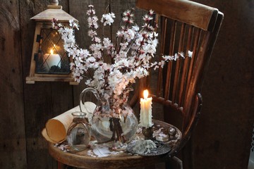 still life with flowering branches of apricot and candle