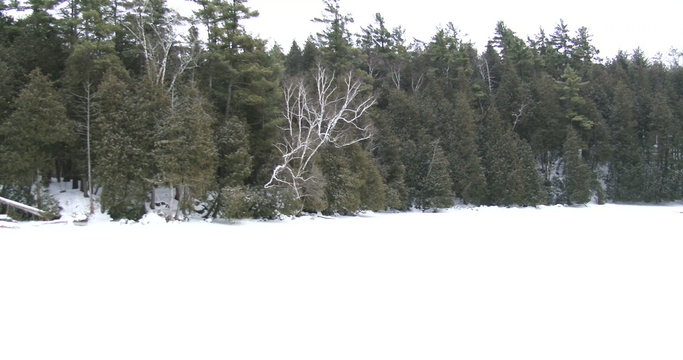 Frozen lake during snowfall in Canadian regional park
