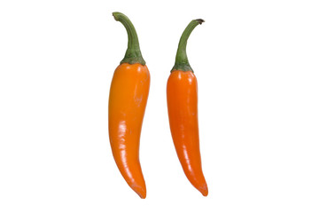 chilli peppers isolated on white background