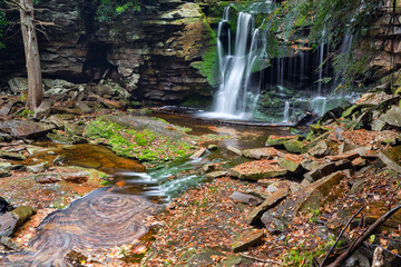 Fototapeta premium Elakala Falls - Canaan Valley, West Virginia