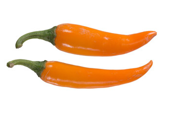 chilli peppers isolated on white background