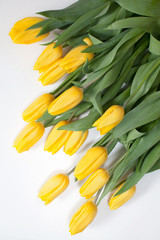 bouquet of yellow tulips for the holidays on a white background
