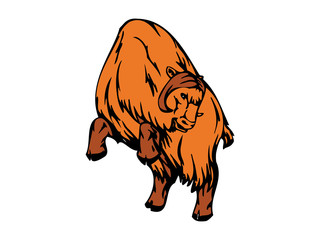 Fototapeta na wymiar Buffalo Mascot