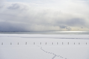 北海道の冬