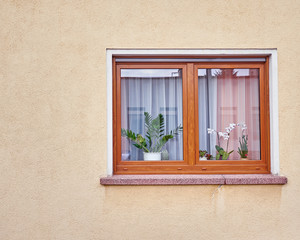 Fototapeta na wymiar window with flowers on ocher colored wall