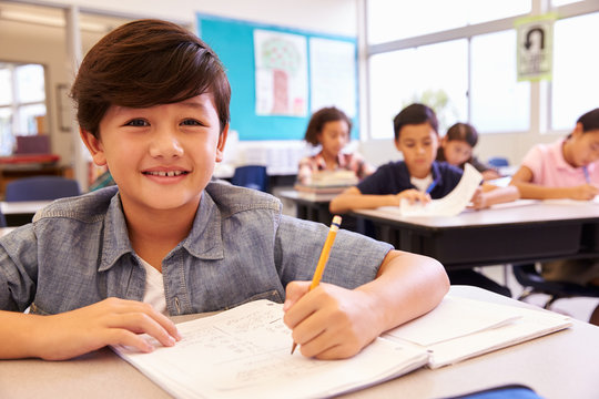 Asian schoolboy in elementary school class looking to camera