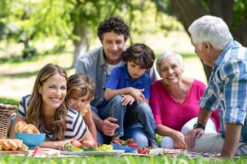 Smiling family having a picnic