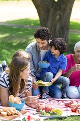 Smiling family having a picnic