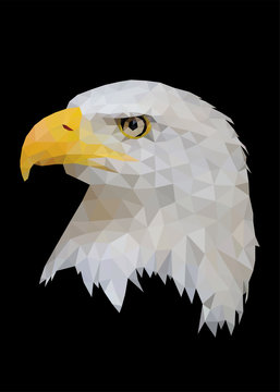 Eagle bird profile face standing and looking vector