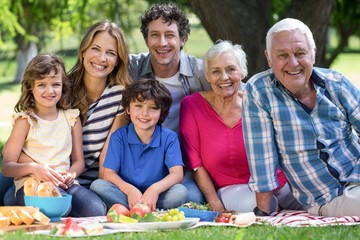 Smiling family having a picnic