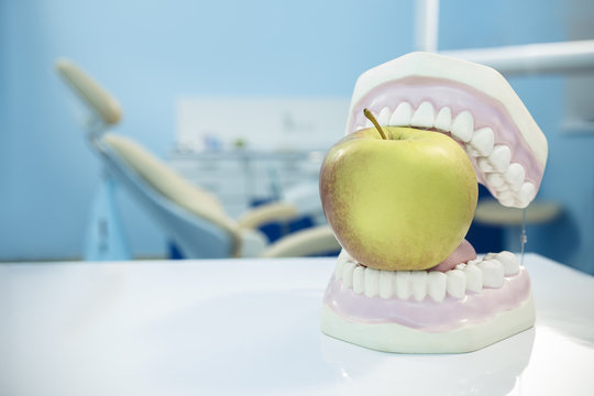 composition. Dentures biting an apple in dental surgery