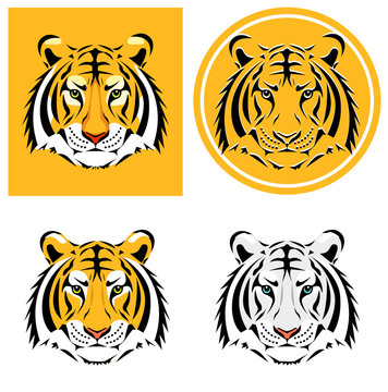 Tiger head. Vector illustration